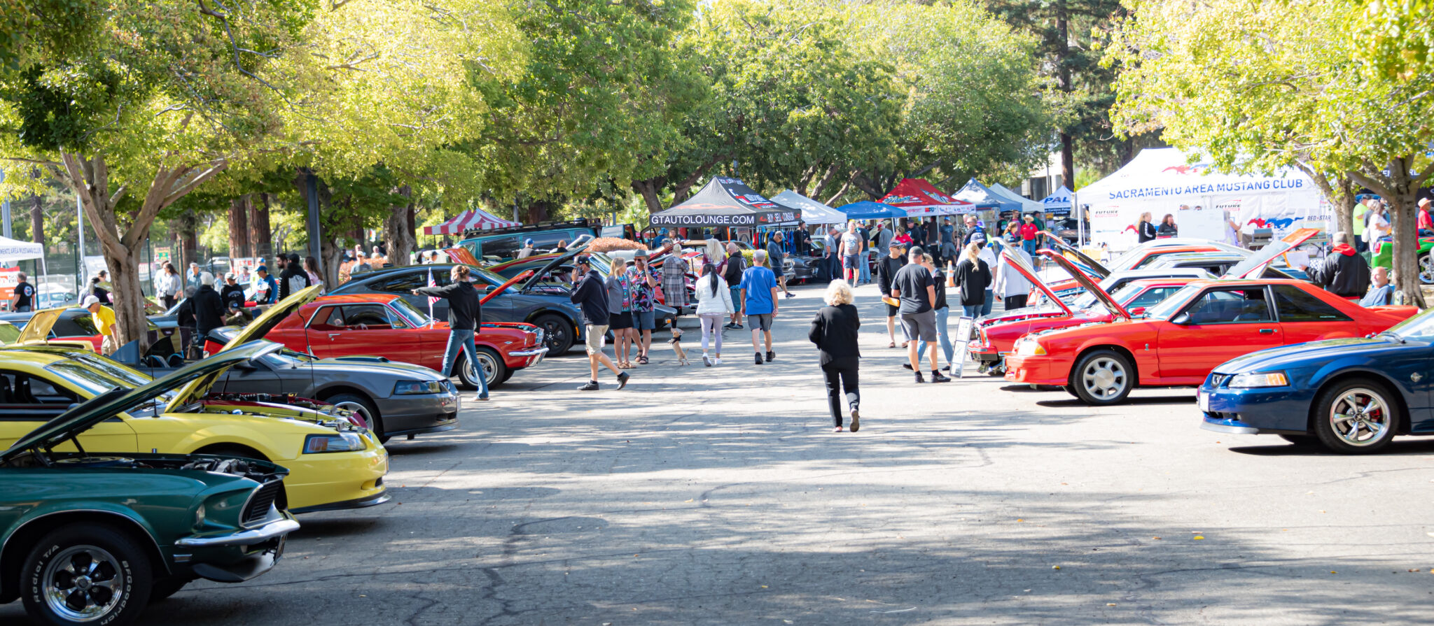 Mustangs & Fords at the Marriott 2024 Sacramento Area Mustang Club